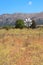 Windmill in the Lasithi Plateau