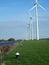 Windmill in line for green energie