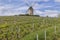 Windmill (Moulin a vent de Romaneche-Thorins), Chenas, Beaujolais, Saone-et-Loire, Bourgogne-Franche-Comte, France