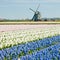 Windmill, Netherlands