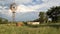 Windmill in Northwest, blue sky, white clouds late afternoon.