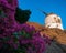 Windmill overlooking Mykonos Greece with purple flowers in foreground