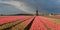 Windmill with pink tulips under a cloudy sky
