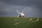 A windmill poking over a hill surrounded by newly planted crops