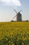 Windmill and rapeseed