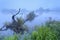 Windmill reflected in river and dense fog