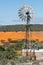 Windmill and a sea of orange daisies