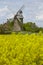 Windmill Seelenfeld (Petershagen, Germany) with colza field