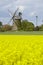 Windmill Seelenfeld (Petershagen, Germany) with colza field