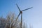 A windmill seen above the flowering trees in early Spring