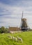 Windmill and sheep on a in Medemblik