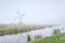 Windmill and sheep by river in fog