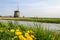 Windmill stands on a grassland near a canal of Netherlands