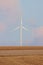 Windmill Sunset in a Cornfield