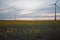 Windmill at sunset in sunflower field