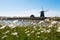 Windmill surrounded by marguerites