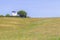 Windmill and Tree in the field in Vale Seco, Santiago do Cacem