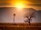 Windmill and a Tree at Sunset