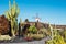 Windmill in tropical cactus garden in Guatiza village