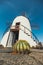 Windmill in tropical cactus garden in Guatiza village, popular attraction in Lanzarote