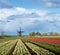 Windmill with tulip flower fields in the countryside