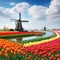 Windmill and tulips in Digital Painting