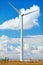 Windmill turbine for renewable energy production