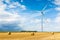 Windmill on the wheat field with hay bales