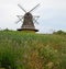 Windmill and wild flowers, Denmark
