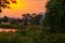 A windmill beside a willow tree during a stunning sunset