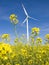 Windmill in yellow field