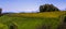 Windmill, Yellow Flower Field and Snowy Mountains on Sunny Spring Day.