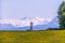 Windmill, Yellow Flower Field and Snowy Mountains on Sunny Spring Day.