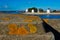 Windmills of Alburrica in Barreiro