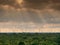 Windmills behind a forest with dramatic sunbeams