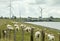 Windmills and cranes at an floodgate with sheep in the foreground