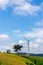 Windmills for electric power production with blue sky