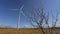 Windmills in Estonia, Europe.