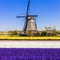 Windmills and flwers of Holland