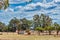 Windmills have successfully pumped water in the Australian Outback into troughs for their stock