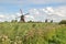 Windmills of Kinderdijk 4