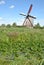 Windmills of Kinderdijk 5