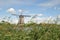 Windmills of Kinderdijk 6