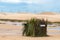 Windmills in LenÃ§Ã³is Maranhenses National Park in Brazil