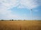 Windmills on one of the wheat fields of Ukraine. Energy saving concept