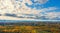 The Windmills park of Paldiski. Wind turbine farm near Baltic sea. Autumn landscape with windmills, orange forest and