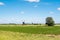 Windmills in polder, Netherlands