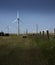 Windmills producing green tech energy