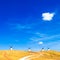 Windmills, rural green fields, blue sky and small cloud. Consuegra, Spain