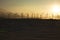 Windmills and Sand at Sunset 1